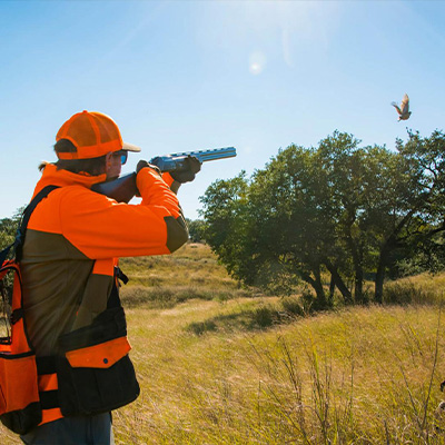 Orvis Wingshooting Award